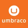 Umbraco CMS: The Pros and Cons You Need to Know