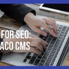 Design Your Website with Umbraco’s SEO Structure